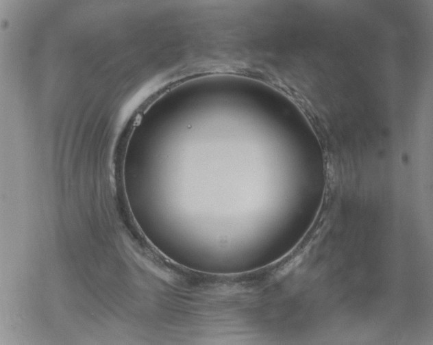 X0000069380246200605192156