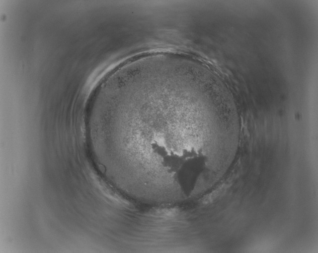 X0000069380247200605192156