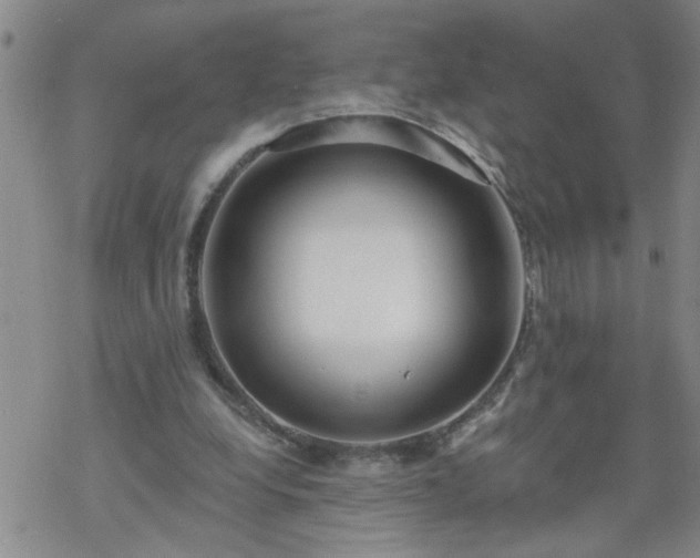 X0000069380248200605192156