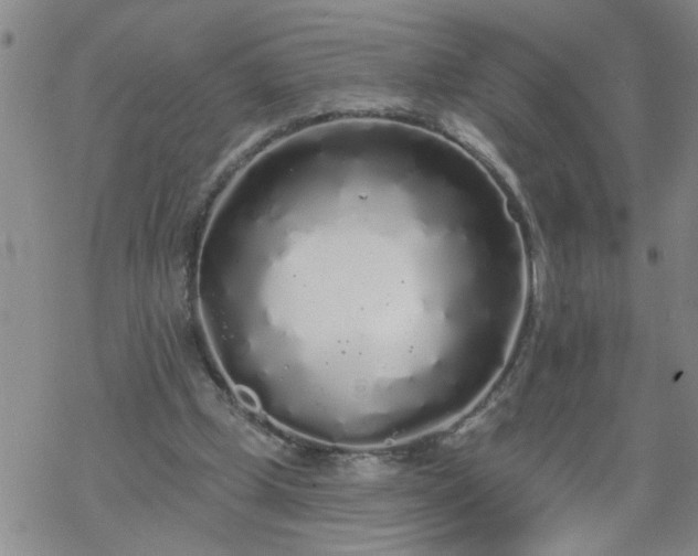 X0000069380249200605192156