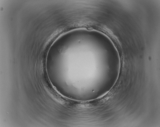 X0000069380250200605192156