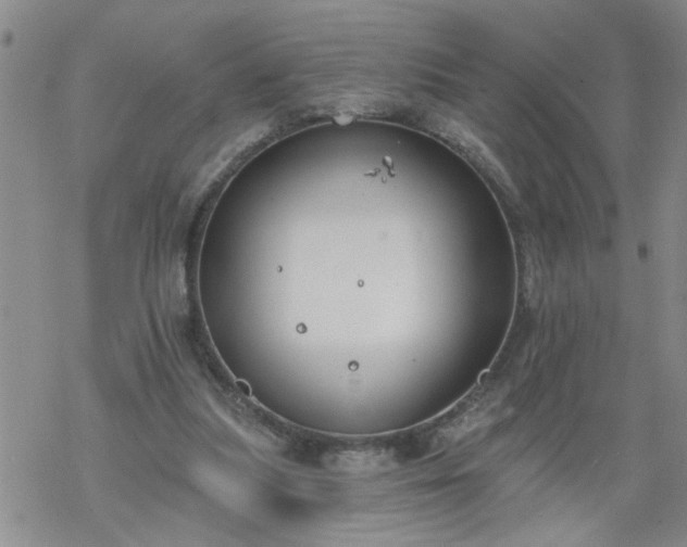 X0000069380251200605192156