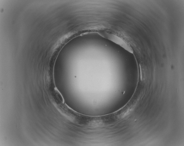 X0000069380252200605192156