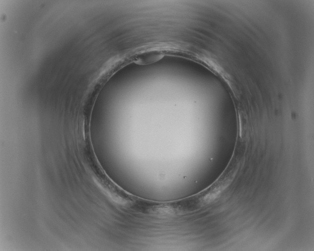 X0000069380253200605192156