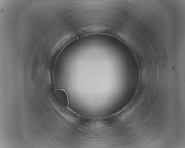 X0000069380254200605192156