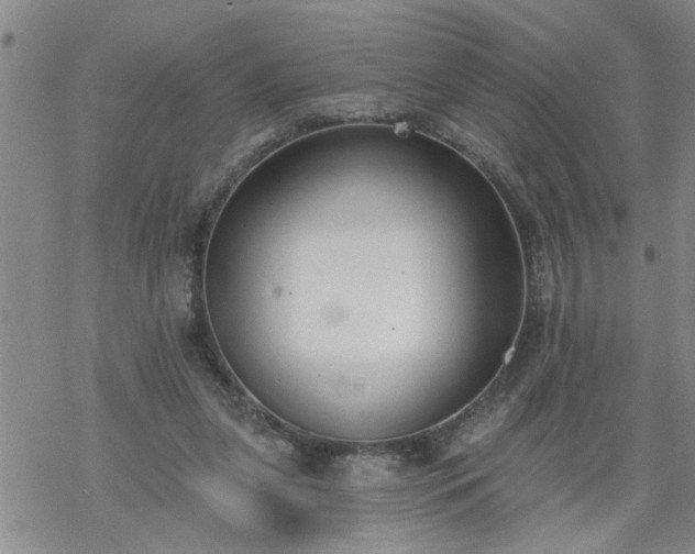 X0000069380255200605192156