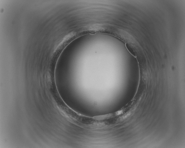 X0000069380256200605192156