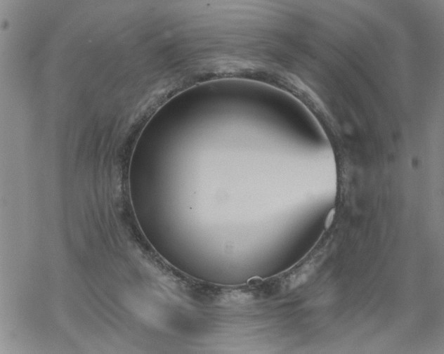 X0000069380257200605192156