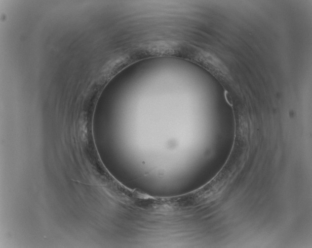 X0000069380259200605192156