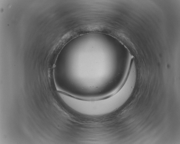 X0000069380260200605192156