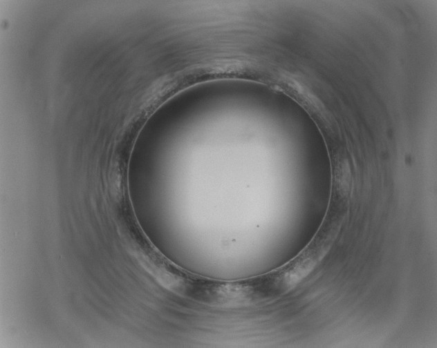 X0000069380261200605192156