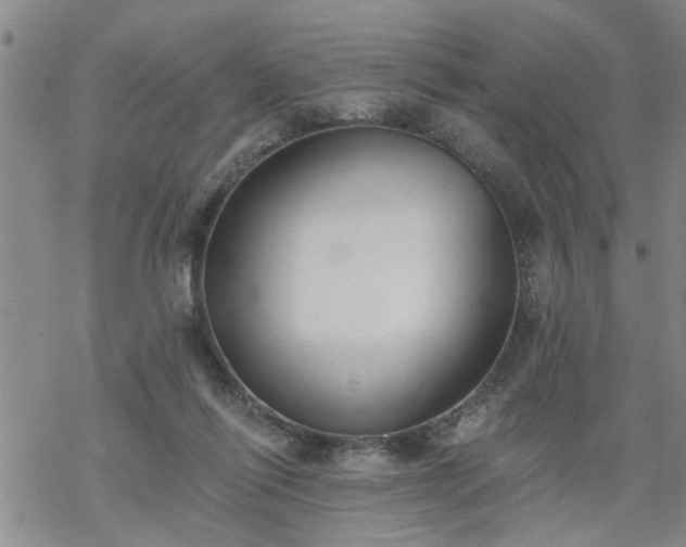 X0000069380262200605192156