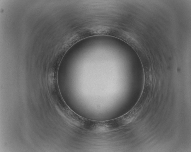 X0000069380263200605192156