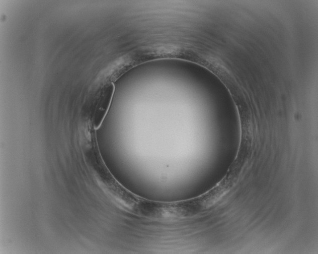 X0000069380264200605192156