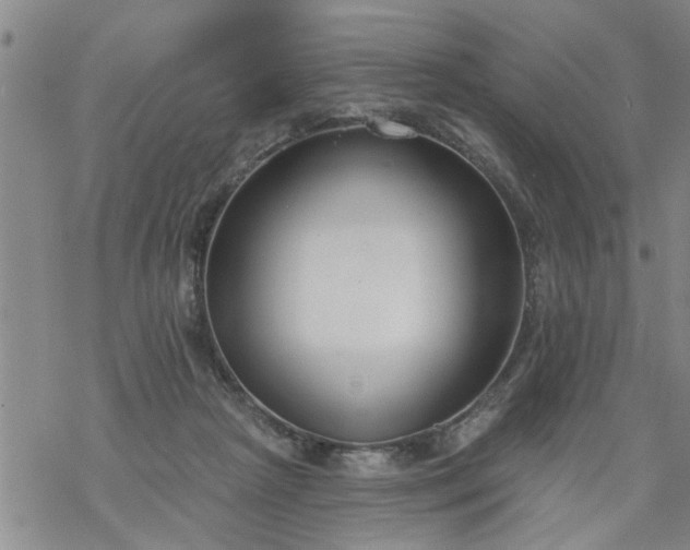 X0000069380265200605192156