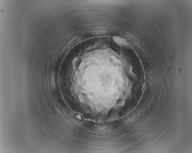 X0000069380267200605192156