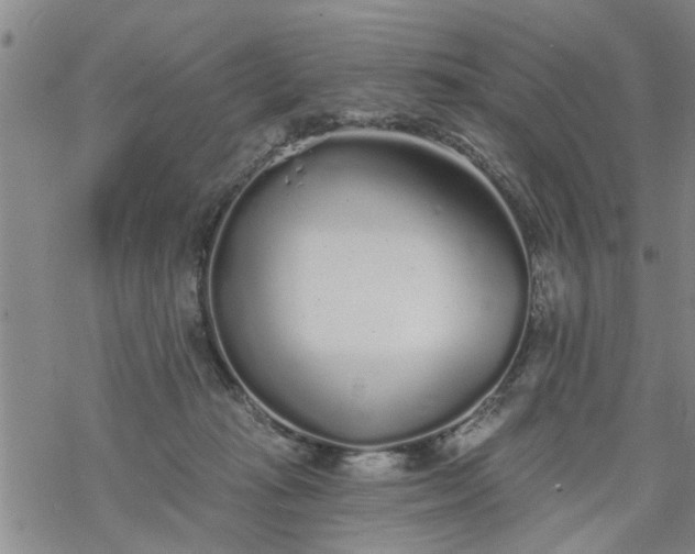 X0000069380269200605192156