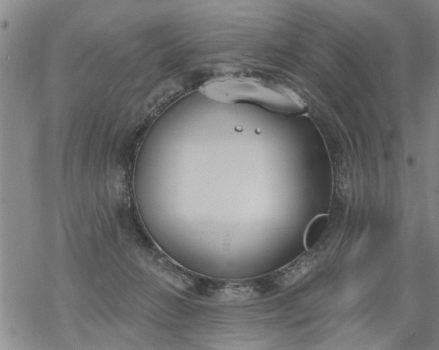 X0000069380270200605192156