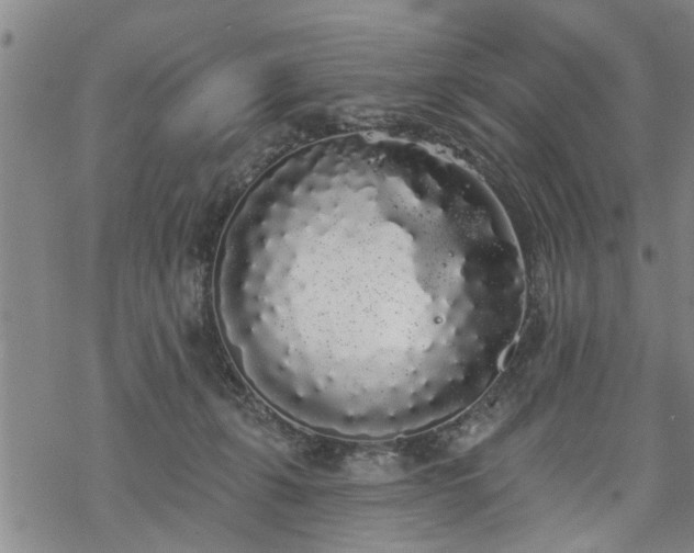 X0000069380271200605192156