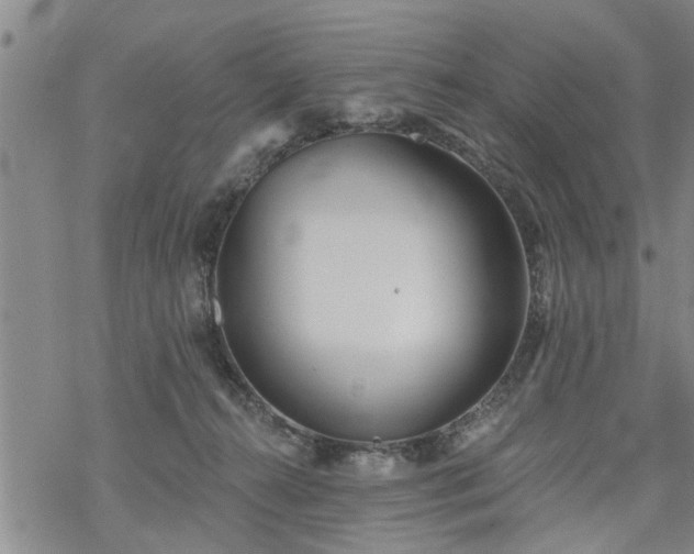 X0000069380272200605192156