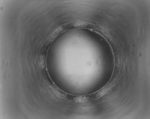 X0000069380273200605192156