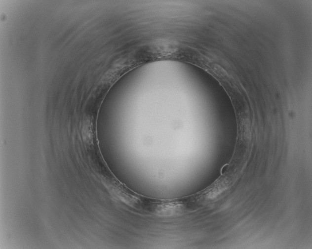 X0000069380274200605192156