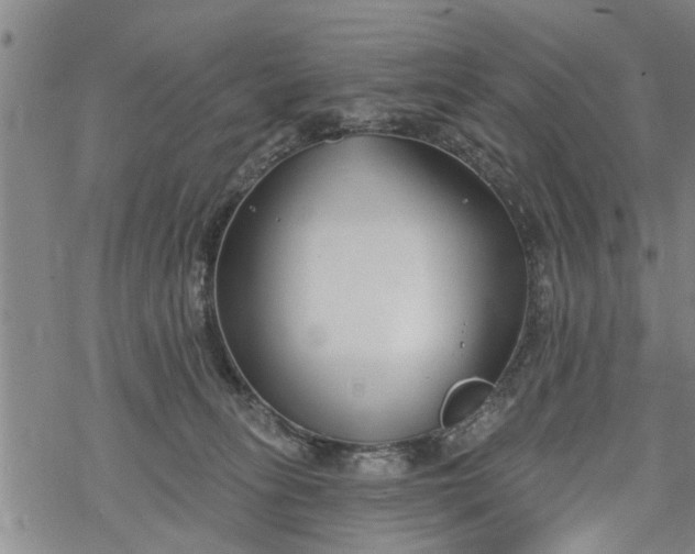 X0000069380275200605192156