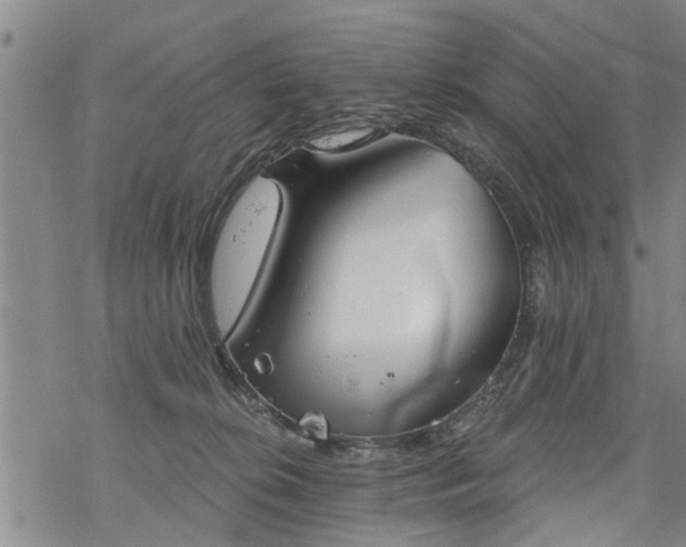 X0000069380276200605192156