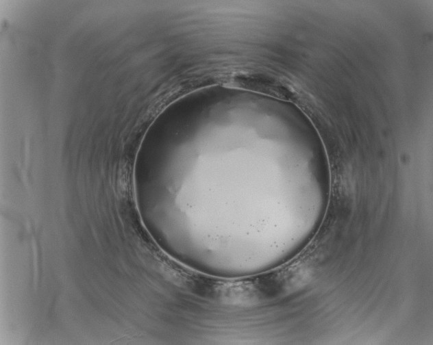 X0000069380277200605192156