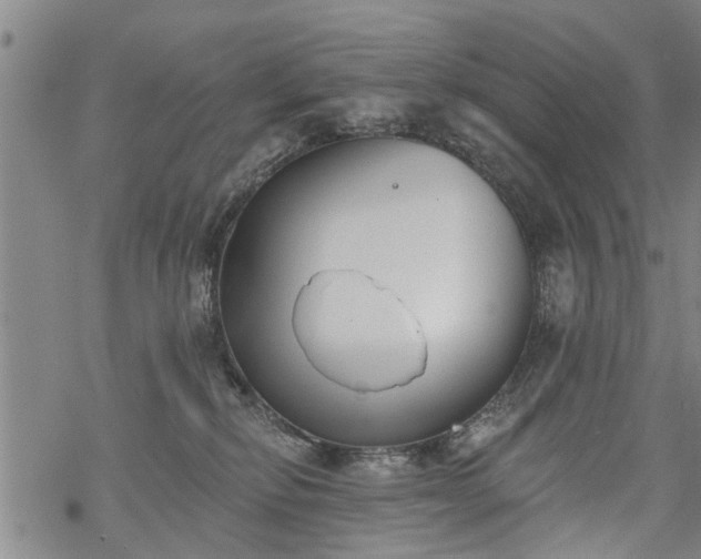 X0000069380278200605192156