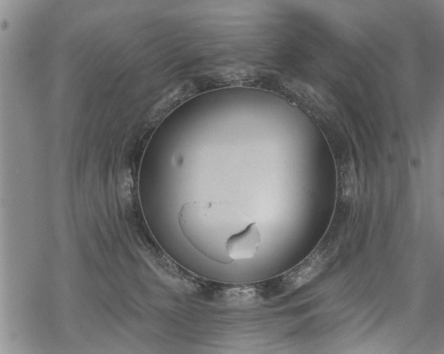 X0000069380279200605192156