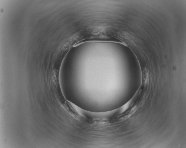 X0000069380280200605192156