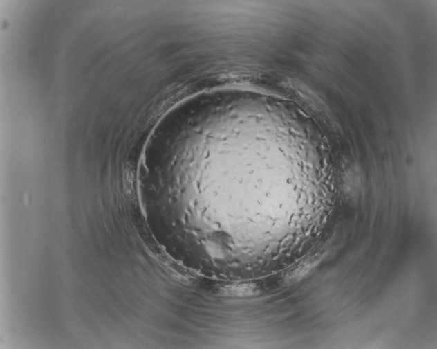 X0000069380281200605192156