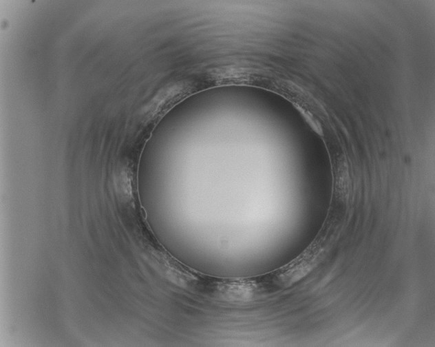 X0000069380282200605192156