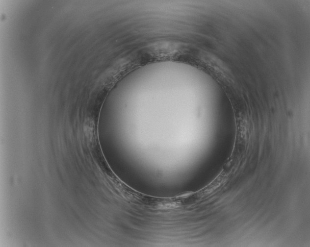 X0000069380283200605192156