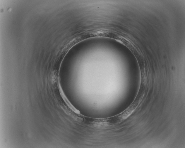 X0000069380284200605192156