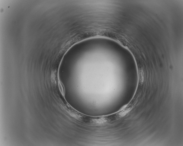 X0000069380286200605192156