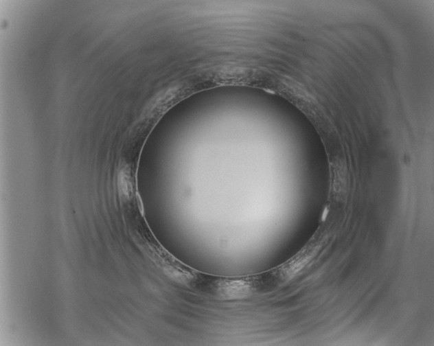 X0000069380287200605192156