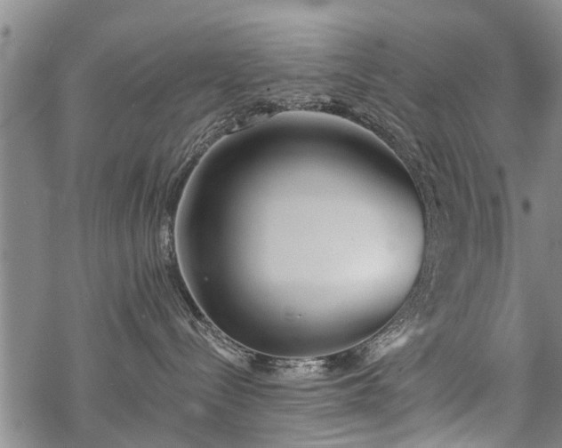 X0000069380288200605192156