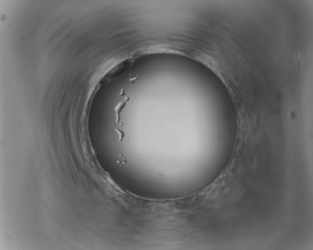 X0000069380289200605192156