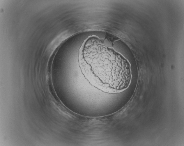 X0000069380290200605192156