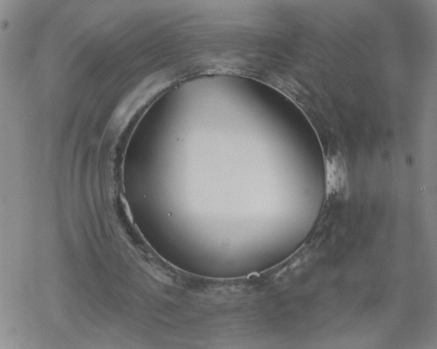 X0000069380291200605192156