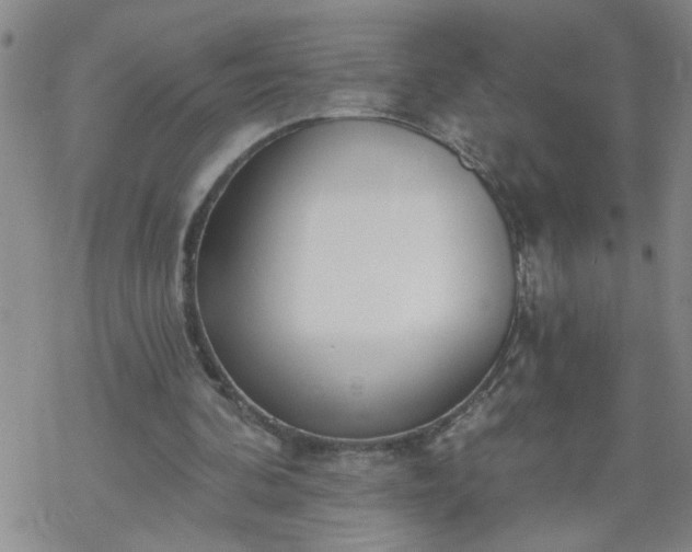 X0000069380292200605192156