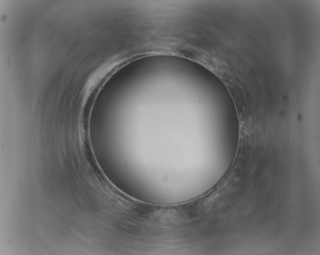 X0000069380294200605192156