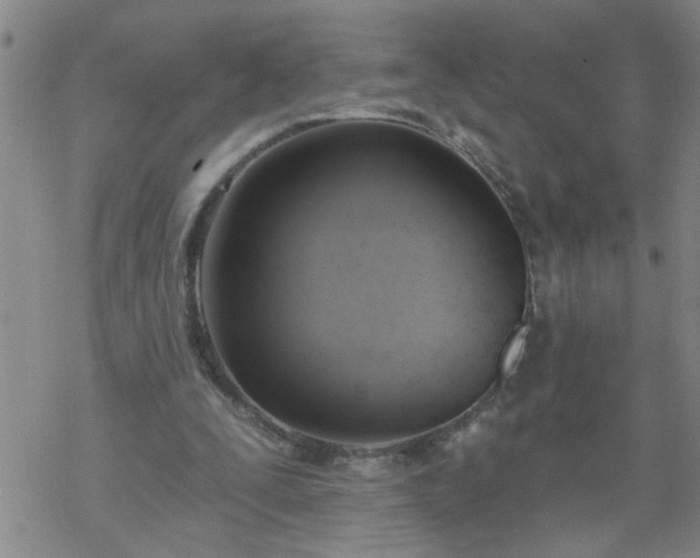 X0000069380295200605192156