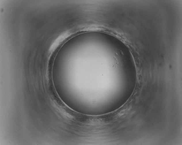 X0000069380296200605192156