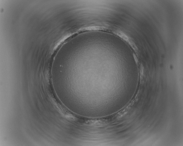 X0000069380297200605192156