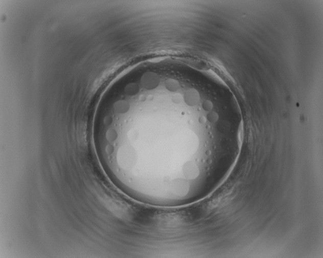 X0000069380299200605192156