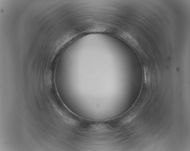 X0000069380300200605192156