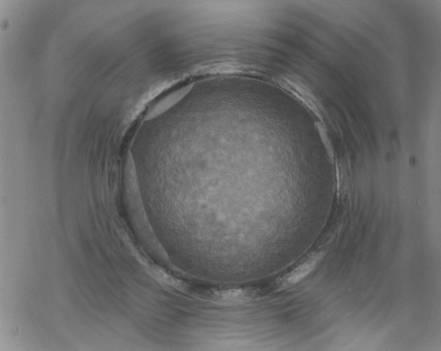 X0000069380301200605192155